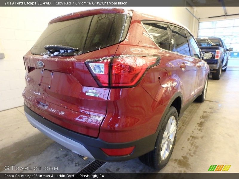 Ruby Red / Chromite Gray/Charcoal Black 2019 Ford Escape SE 4WD