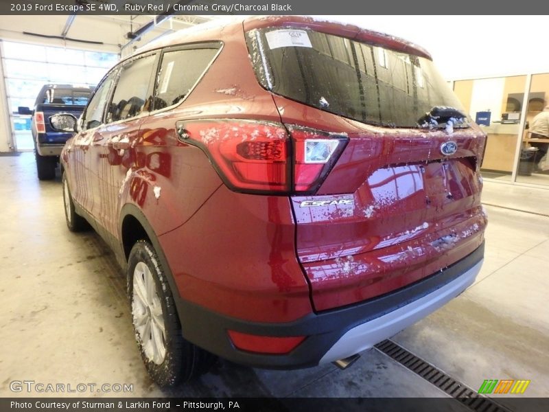 Ruby Red / Chromite Gray/Charcoal Black 2019 Ford Escape SE 4WD