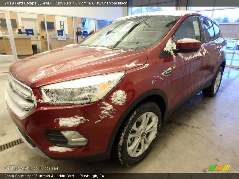 Ruby Red / Chromite Gray/Charcoal Black 2019 Ford Escape SE 4WD