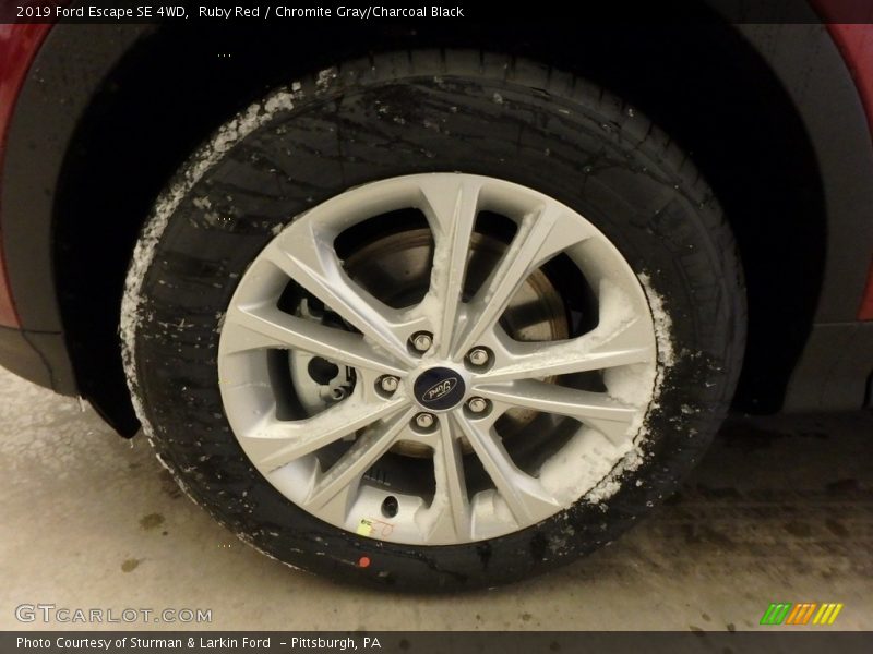 Ruby Red / Chromite Gray/Charcoal Black 2019 Ford Escape SE 4WD