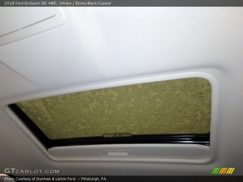 Smoke / Ebony Black/Copper 2018 Ford EcoSport SES 4WD
