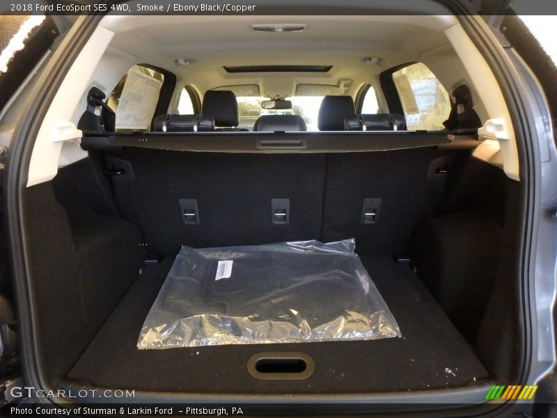 Smoke / Ebony Black/Copper 2018 Ford EcoSport SES 4WD