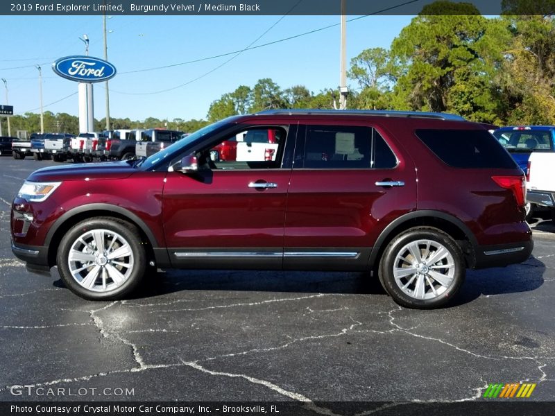 Burgundy Velvet / Medium Black 2019 Ford Explorer Limited