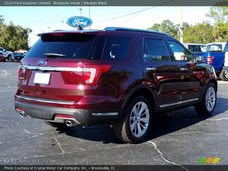 Burgundy Velvet / Medium Black 2019 Ford Explorer Limited