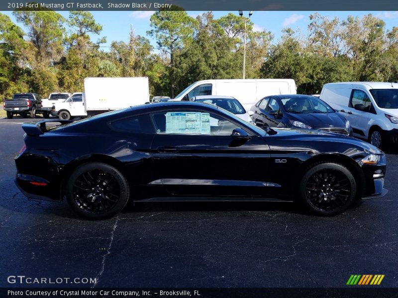 Shadow Black / Ebony 2019 Ford Mustang GT Fastback