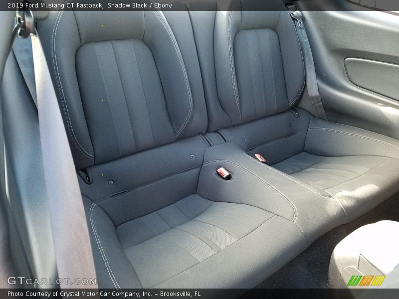 Shadow Black / Ebony 2019 Ford Mustang GT Fastback