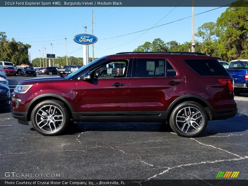 Burgundy Velvet / Medium Black 2019 Ford Explorer Sport 4WD