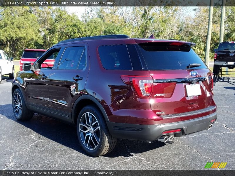 Burgundy Velvet / Medium Black 2019 Ford Explorer Sport 4WD