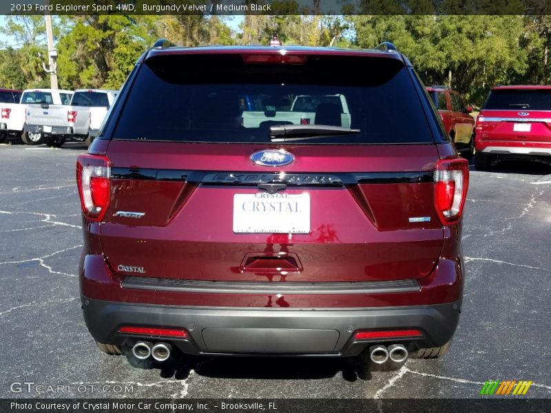 Burgundy Velvet / Medium Black 2019 Ford Explorer Sport 4WD