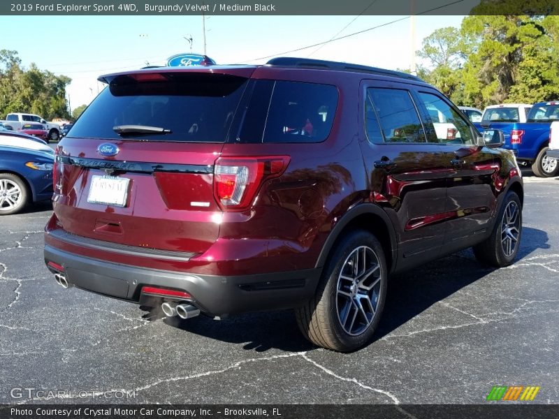 Burgundy Velvet / Medium Black 2019 Ford Explorer Sport 4WD