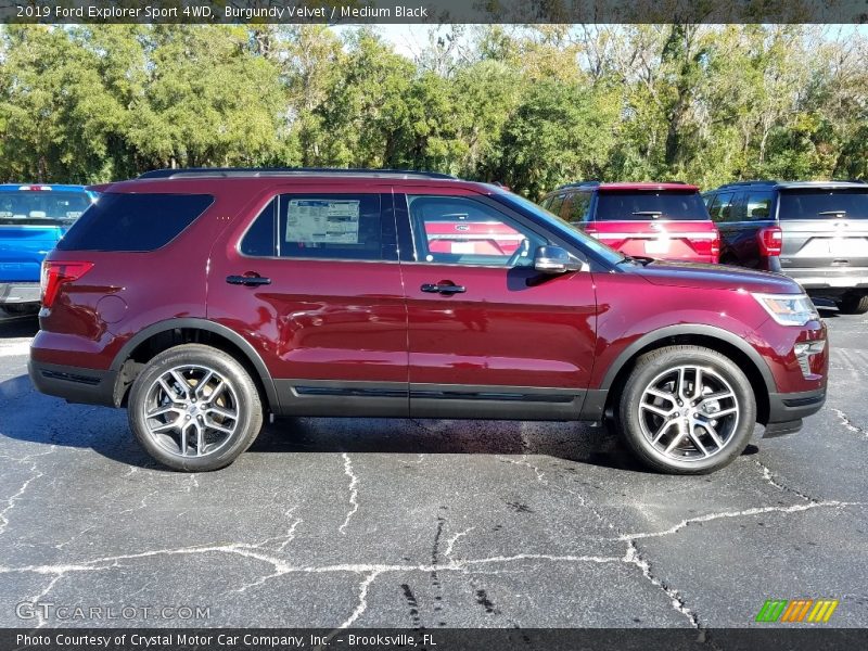  2019 Explorer Sport 4WD Burgundy Velvet