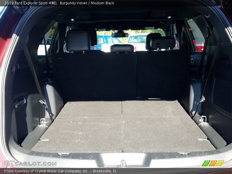 Burgundy Velvet / Medium Black 2019 Ford Explorer Sport 4WD