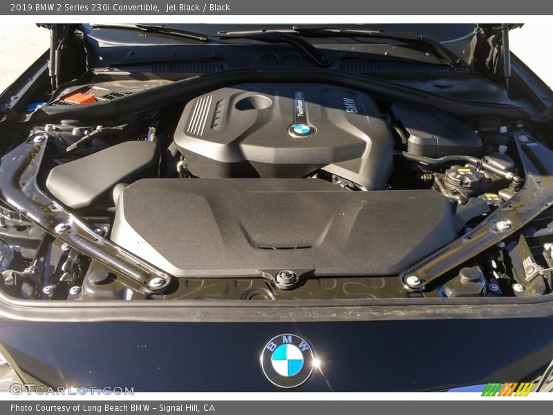 Jet Black / Black 2019 BMW 2 Series 230i Convertible