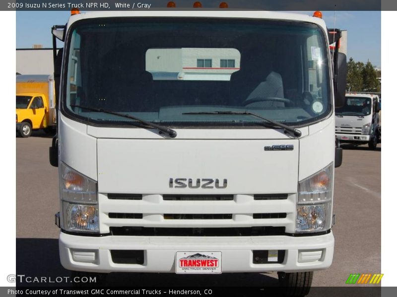 White / Gray 2009 Isuzu N Series Truck NPR HD