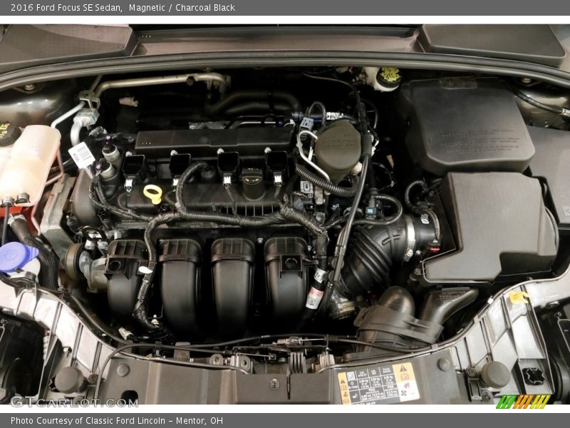 Magnetic / Charcoal Black 2016 Ford Focus SE Sedan