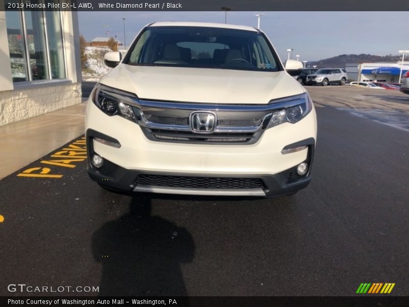 White Diamond Pearl / Black 2019 Honda Pilot EX-L AWD