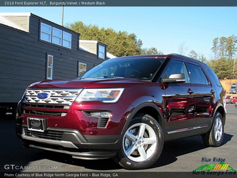 Burgundy Velvet / Medium Black 2019 Ford Explorer XLT
