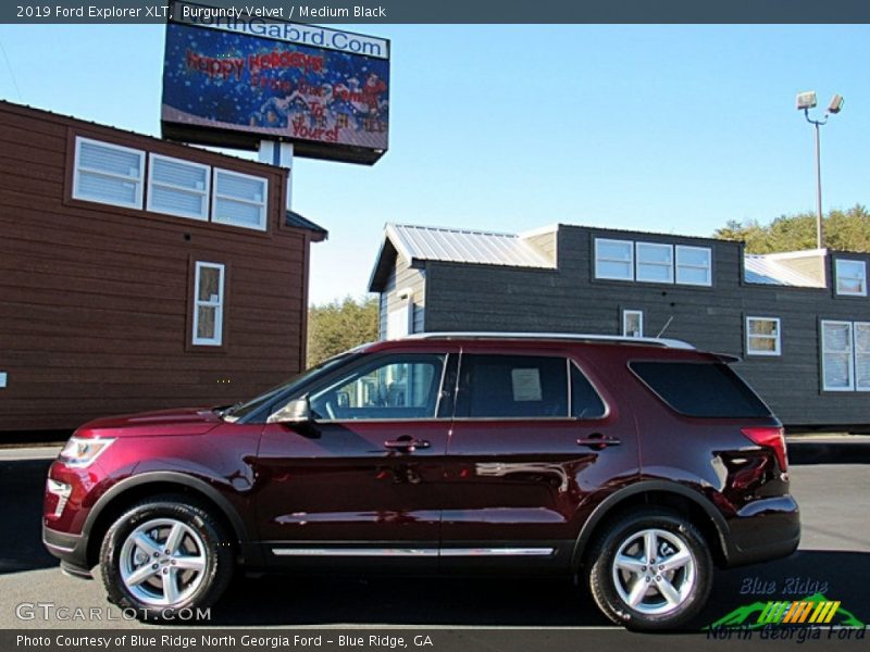 Burgundy Velvet / Medium Black 2019 Ford Explorer XLT