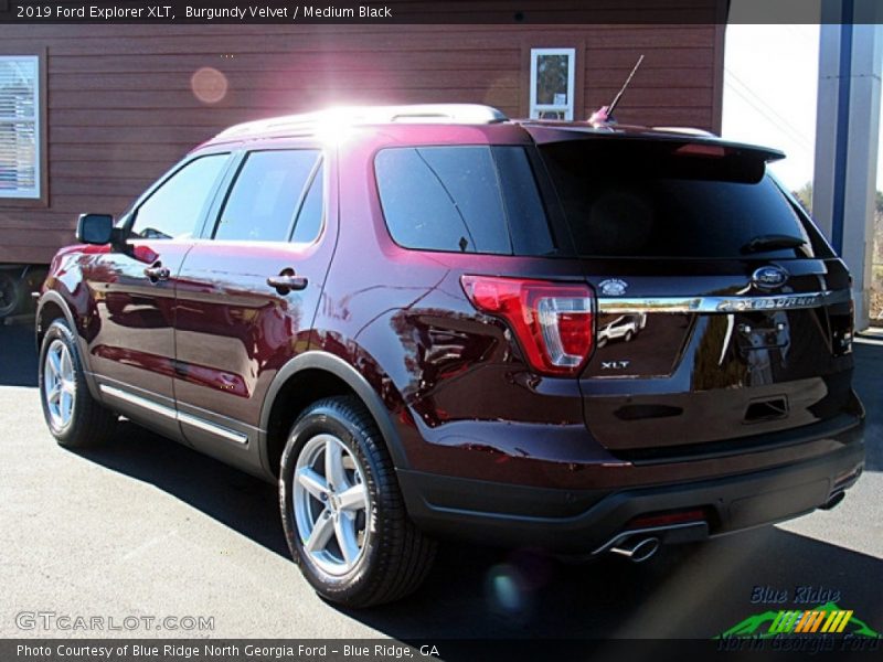Burgundy Velvet / Medium Black 2019 Ford Explorer XLT