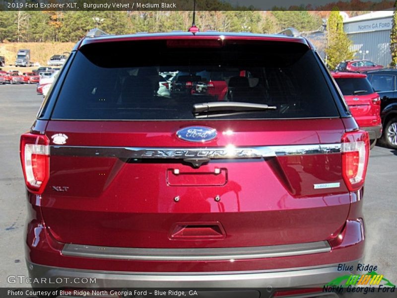 Burgundy Velvet / Medium Black 2019 Ford Explorer XLT