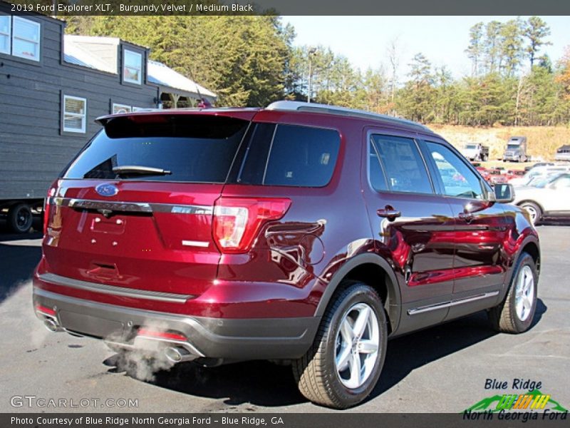 Burgundy Velvet / Medium Black 2019 Ford Explorer XLT