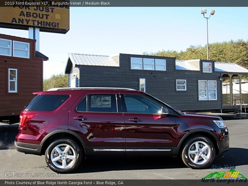 Burgundy Velvet / Medium Black 2019 Ford Explorer XLT