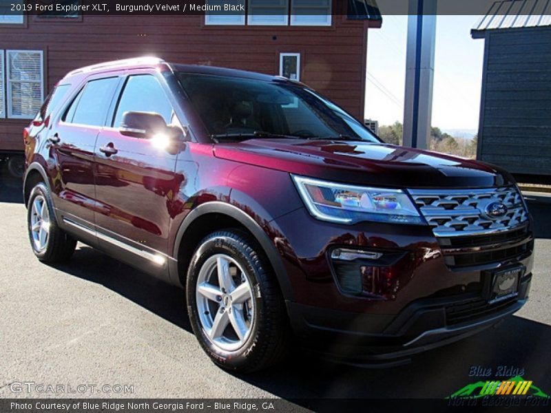 Burgundy Velvet / Medium Black 2019 Ford Explorer XLT