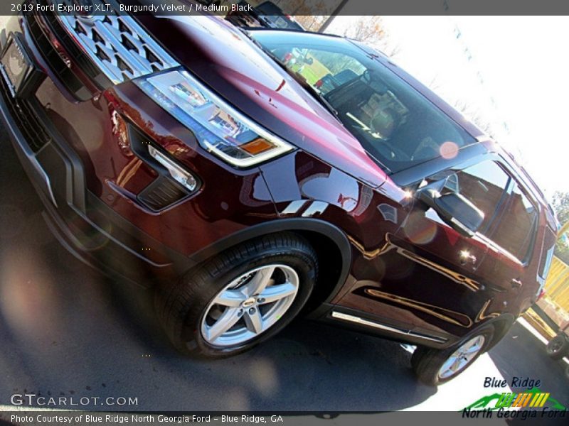 Burgundy Velvet / Medium Black 2019 Ford Explorer XLT