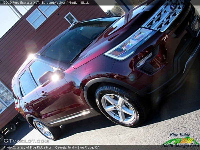 Burgundy Velvet / Medium Black 2019 Ford Explorer XLT