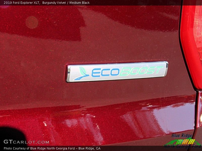 Burgundy Velvet / Medium Black 2019 Ford Explorer XLT