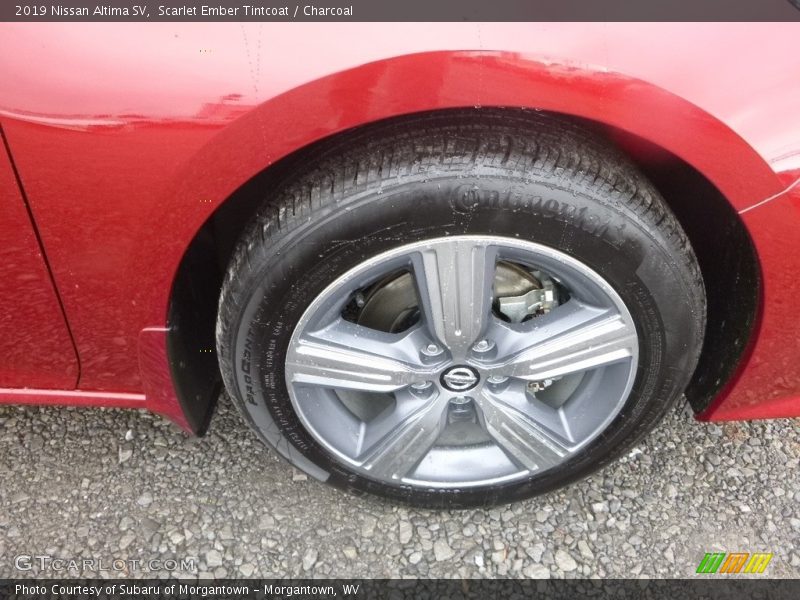 Scarlet Ember Tintcoat / Charcoal 2019 Nissan Altima SV