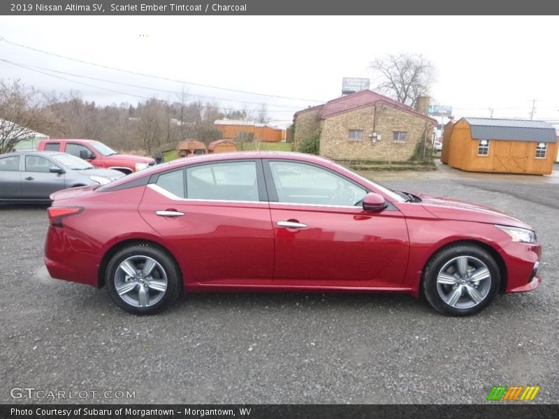 Scarlet Ember Tintcoat / Charcoal 2019 Nissan Altima SV