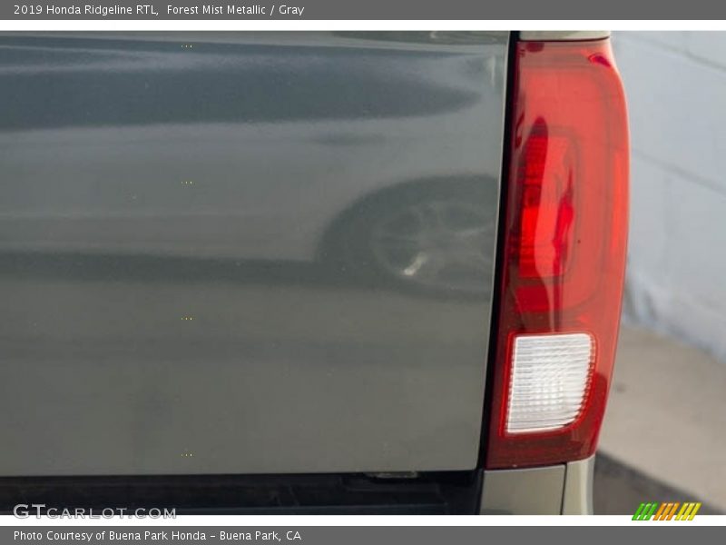 Forest Mist Metallic / Gray 2019 Honda Ridgeline RTL