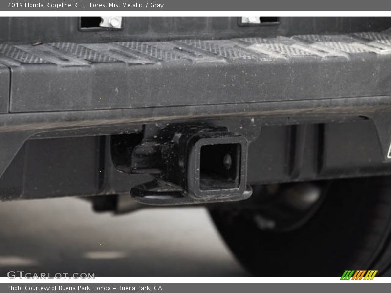 Forest Mist Metallic / Gray 2019 Honda Ridgeline RTL