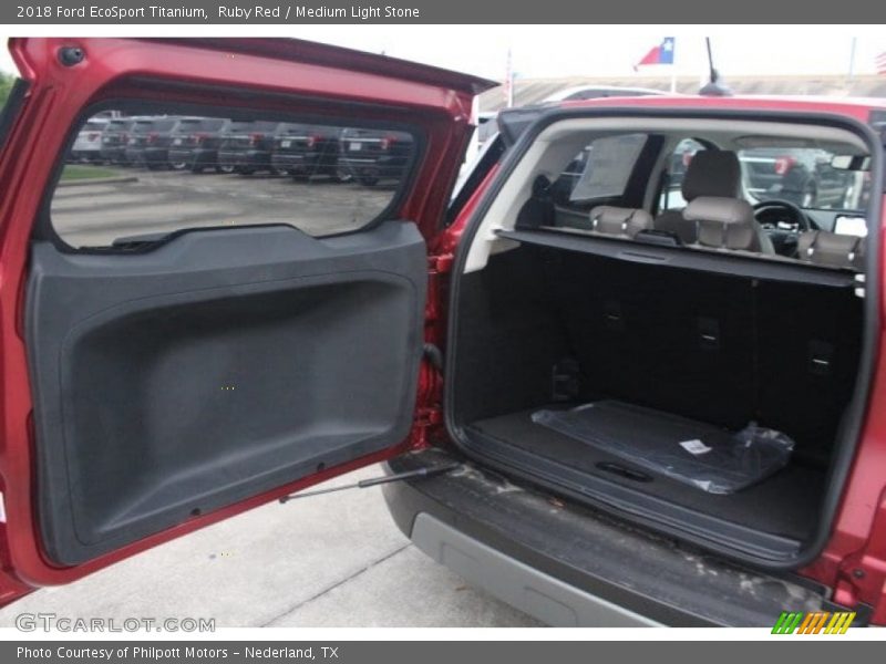 Ruby Red / Medium Light Stone 2018 Ford EcoSport Titanium