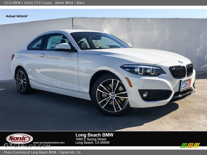 Alpine White / Black 2019 BMW 2 Series 230i Coupe