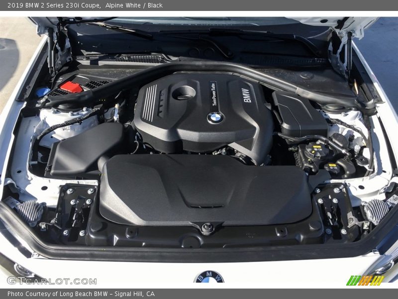 Alpine White / Black 2019 BMW 2 Series 230i Coupe