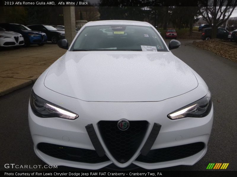 Alfa White / Black 2019 Alfa Romeo Giulia AWD