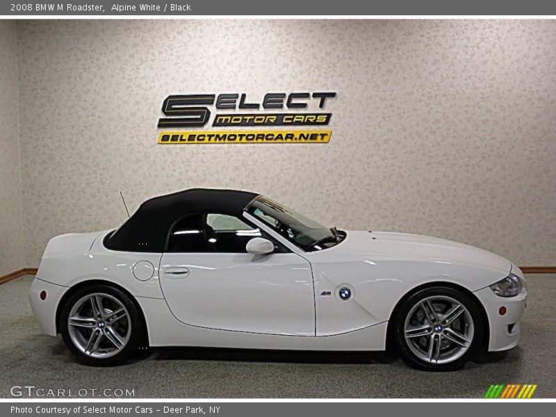 Alpine White / Black 2008 BMW M Roadster
