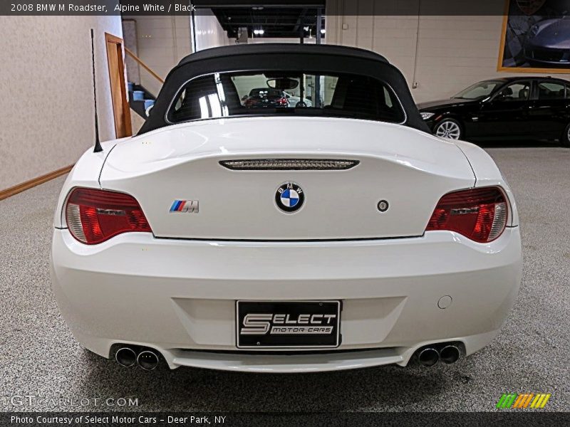 Alpine White / Black 2008 BMW M Roadster