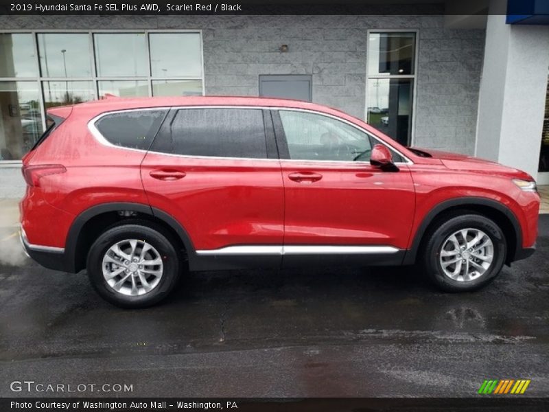 Scarlet Red / Black 2019 Hyundai Santa Fe SEL Plus AWD