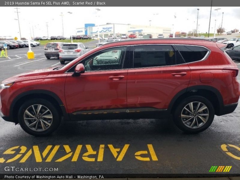 Scarlet Red / Black 2019 Hyundai Santa Fe SEL Plus AWD