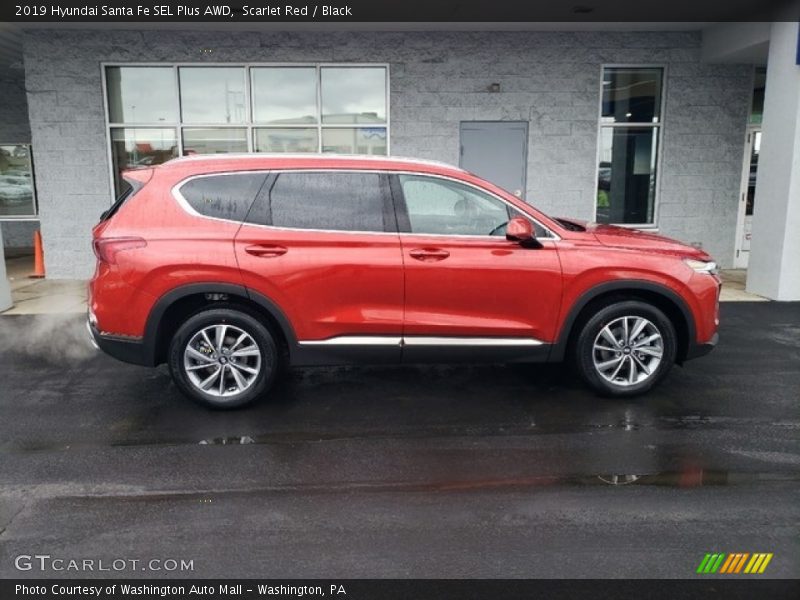 Scarlet Red / Black 2019 Hyundai Santa Fe SEL Plus AWD