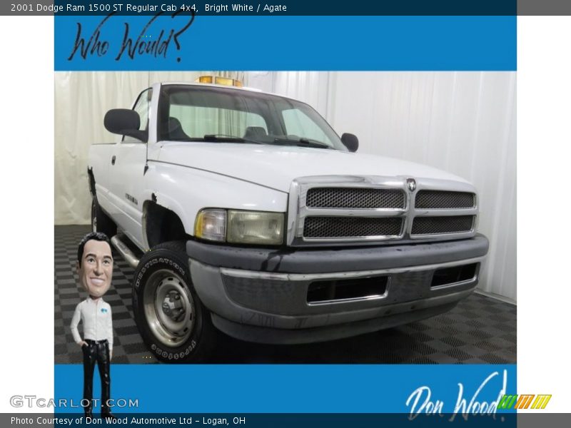 Bright White / Agate 2001 Dodge Ram 1500 ST Regular Cab 4x4