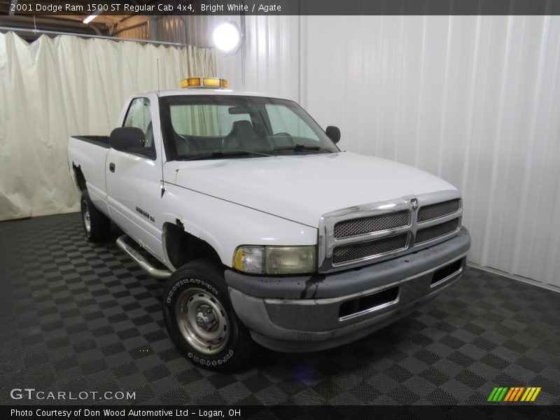 Bright White / Agate 2001 Dodge Ram 1500 ST Regular Cab 4x4