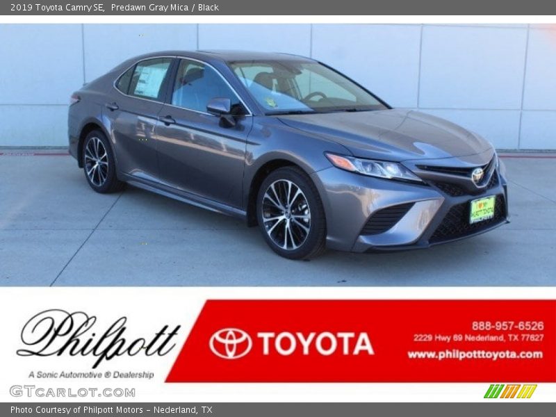 Predawn Gray Mica / Black 2019 Toyota Camry SE