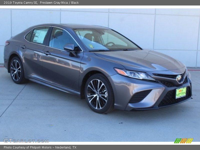 Predawn Gray Mica / Black 2019 Toyota Camry SE