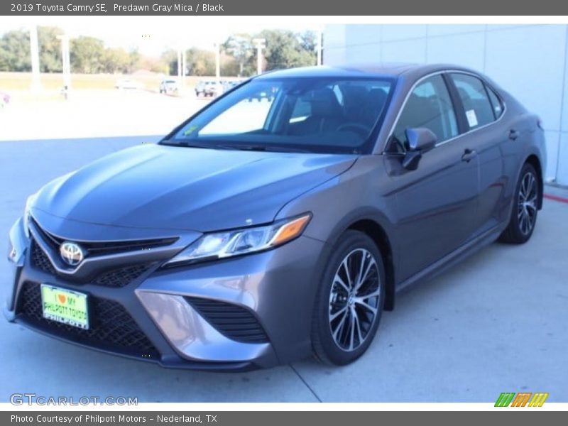 Predawn Gray Mica / Black 2019 Toyota Camry SE