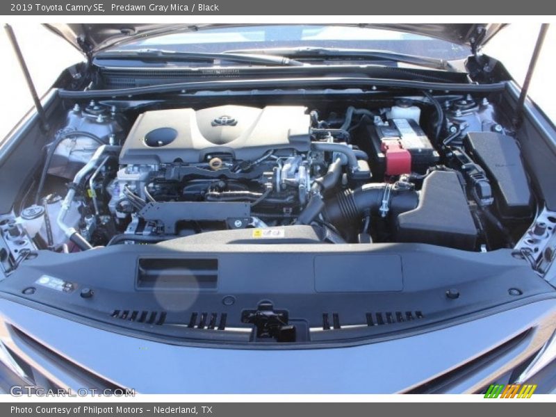 Predawn Gray Mica / Black 2019 Toyota Camry SE