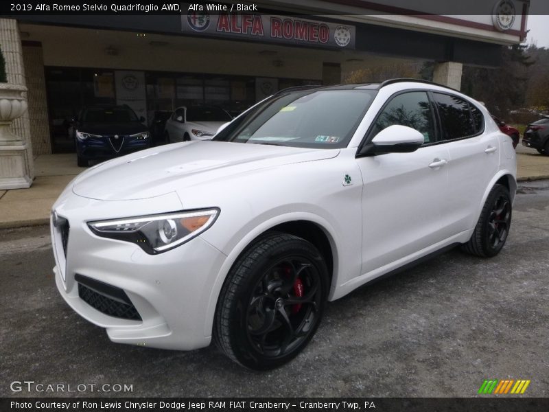 Front 3/4 View of 2019 Stelvio Quadrifoglio AWD